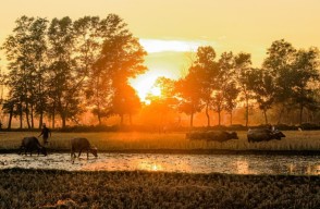 Aaj Ka Mausam 05 April 2024: उत्तरप्रदेश में अप्रैल में ही पड़ेंगे लू के थपेड़े, जाने अगले पांच दिनों के मौसम का पूर्वानुमान